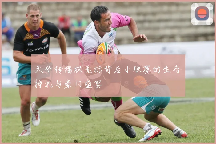 天价转播权竞标背后小联赛的生存挣扎与豪门盛宴