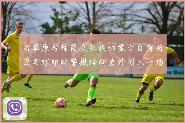 当草原与绿茵交织我的蒙古自驾游因足球即时警报转向意外闯入一场永生难忘的 nomadic 友谊赛